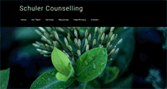 Desktop Screenshot of drschulercounselling.com